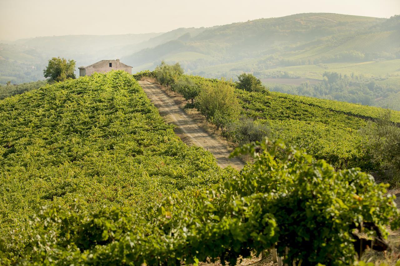 Baldovino B&B Villamagna  Bagian luar foto